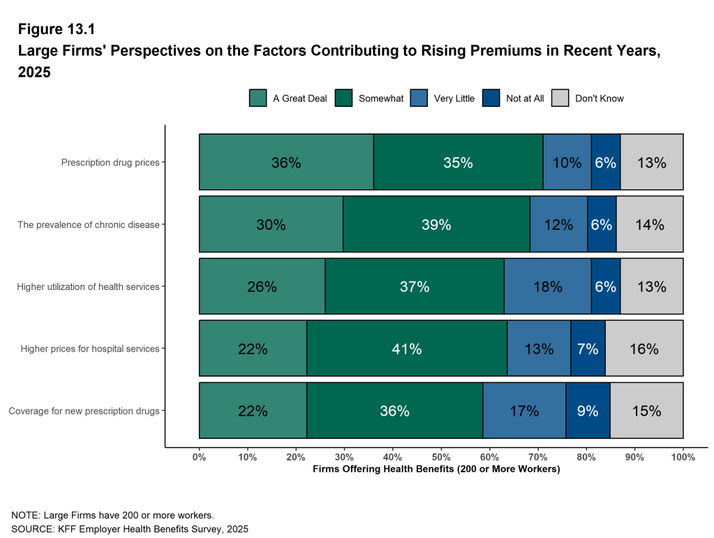 Figure 13.1: Large Firms' Perspectives On the Factors Contributing to Rising Premiums in Recent Years, 2025