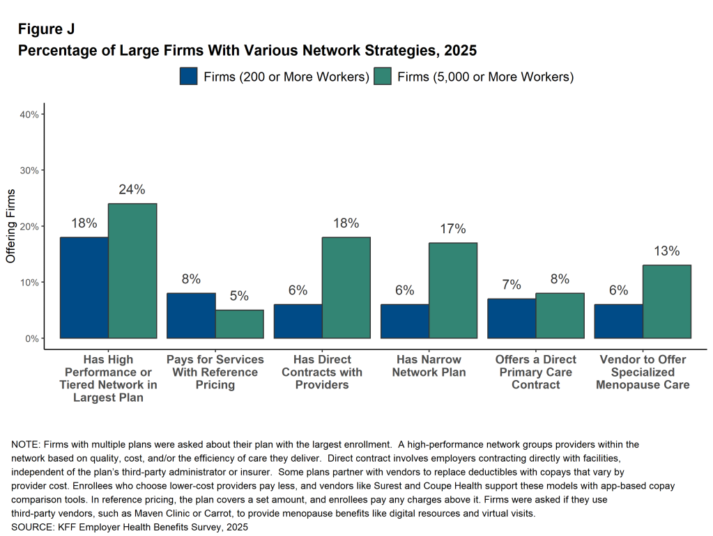 Figure J: Percentage of Large Firms With Various Network Strategies, 2025